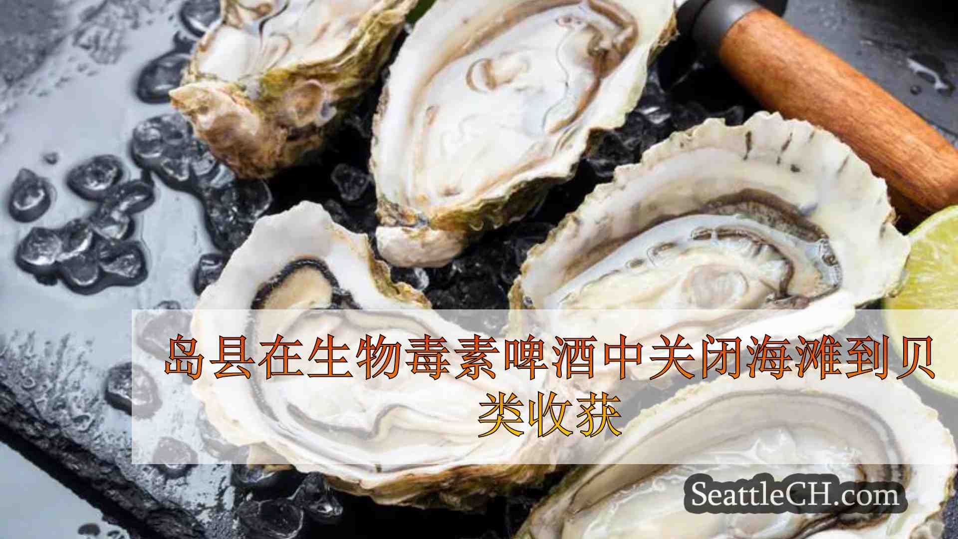 岛县在生物毒素警报中关闭海滩到贝类收获