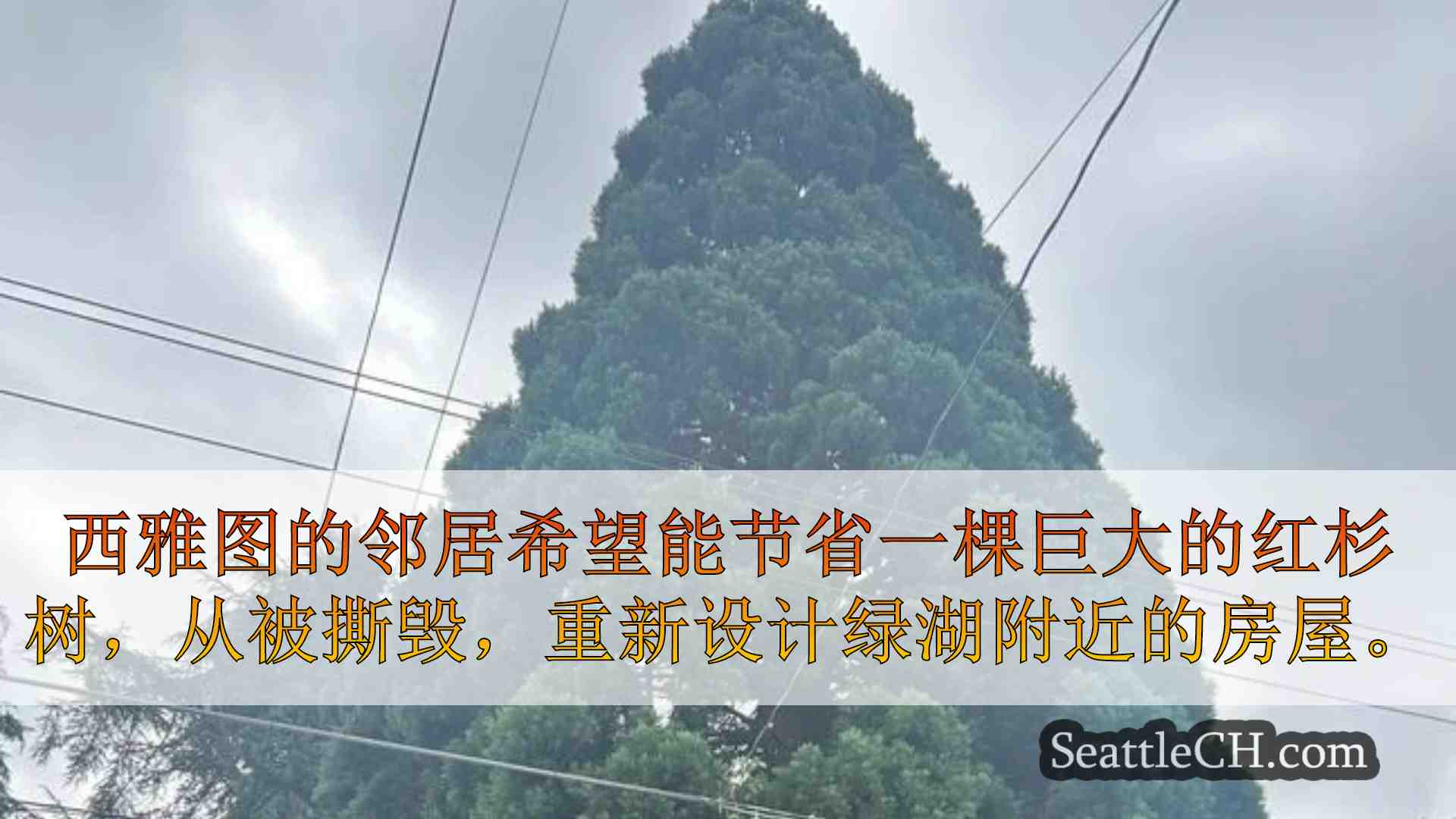 西雅图新闻 SeattleCH