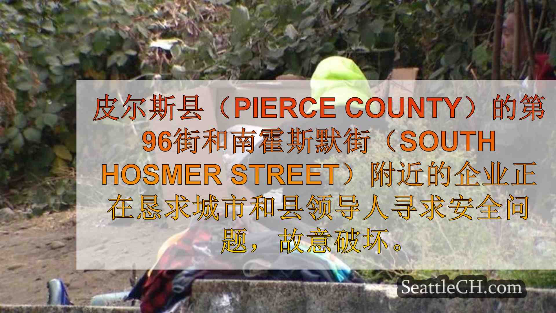 西雅图新闻 SeattleCH