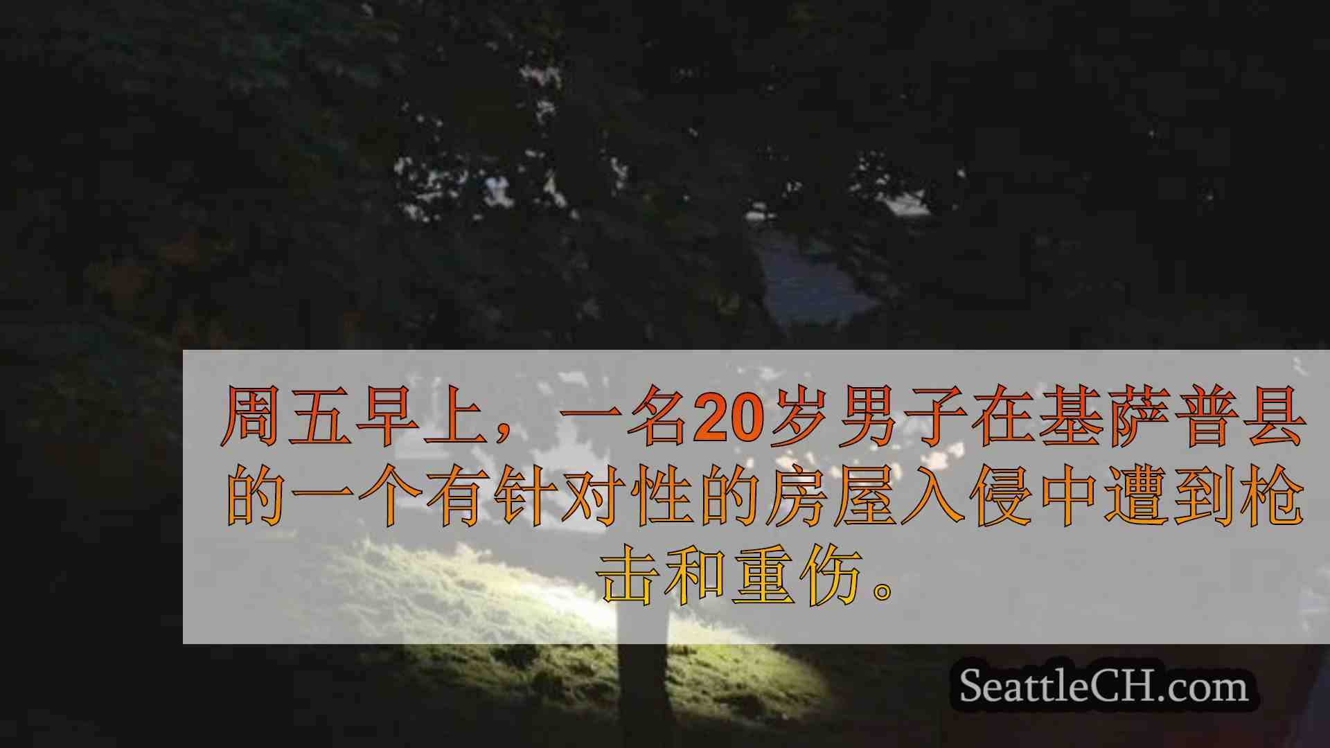 西雅图新闻 SeattleCH