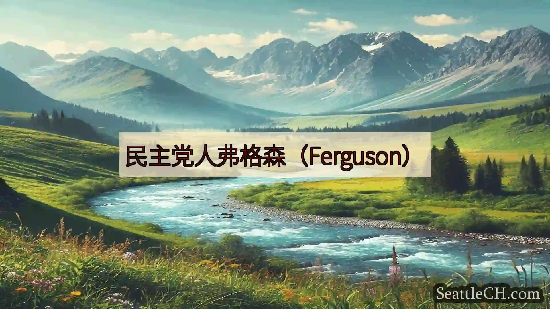 西雅图新闻 民主党人弗格森（Ferguson）