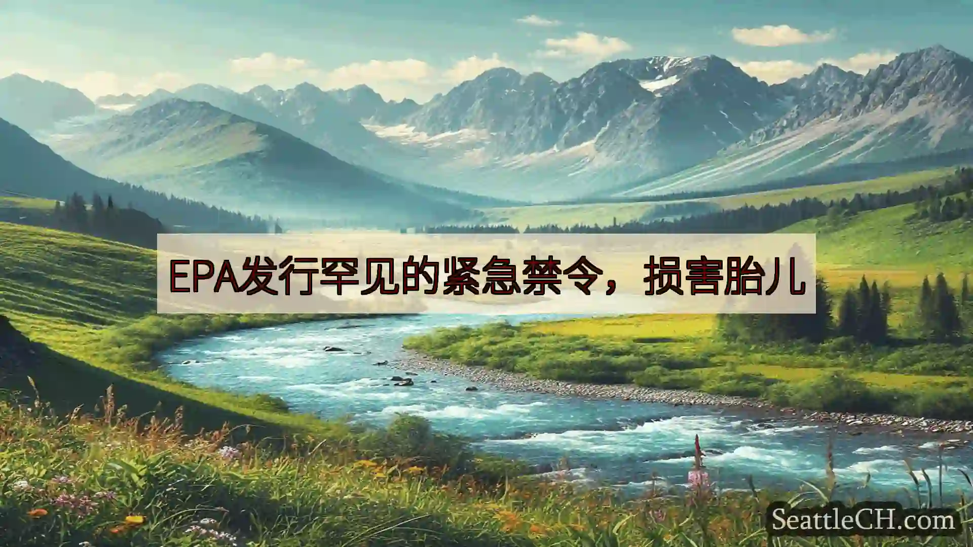 西雅图新闻 EPA发行罕见的紧急禁令，损害胎儿