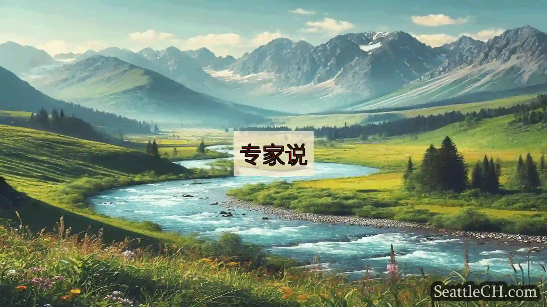 西雅图新闻 专家说