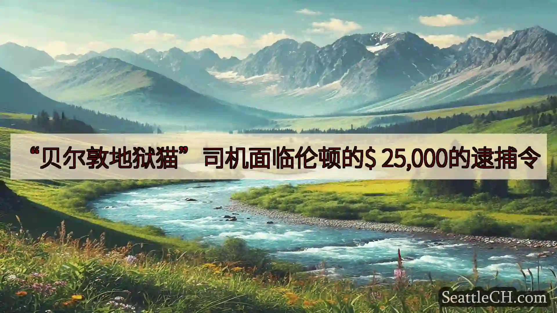 西雅图新闻 “贝尔敦地狱猫”司机面临伦顿的$ 25,000的逮捕令
