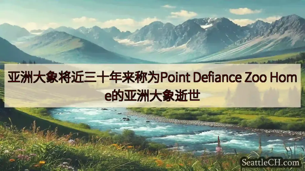 西雅图新闻 亚洲大象将近三十年来称为Point Defiance Zoo