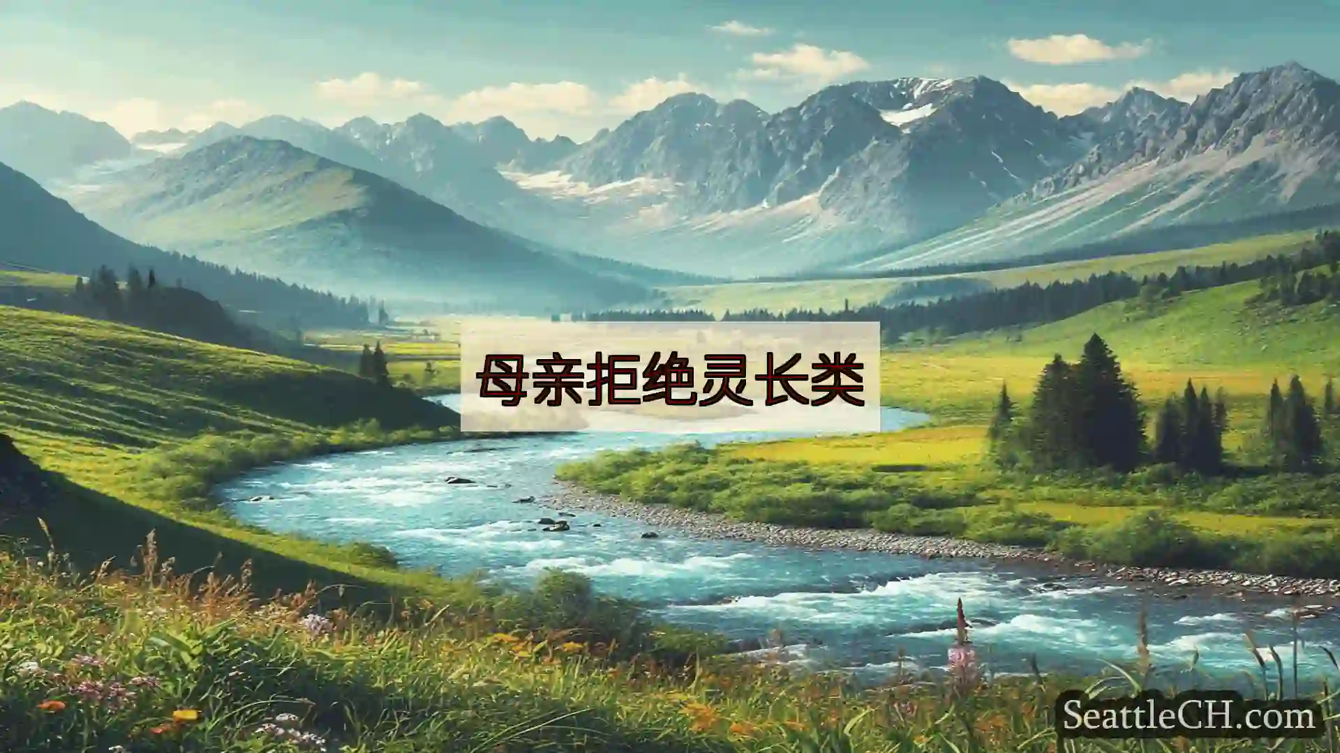西雅图新闻 母亲拒绝灵长类