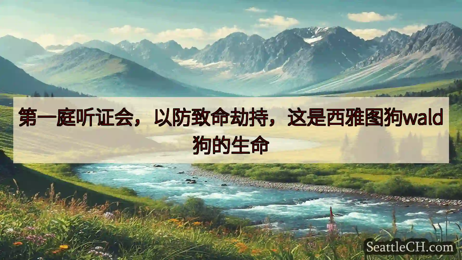 西雅图新闻 第一庭听证会，以防致命劫持，这是西雅图狗wald狗的生命