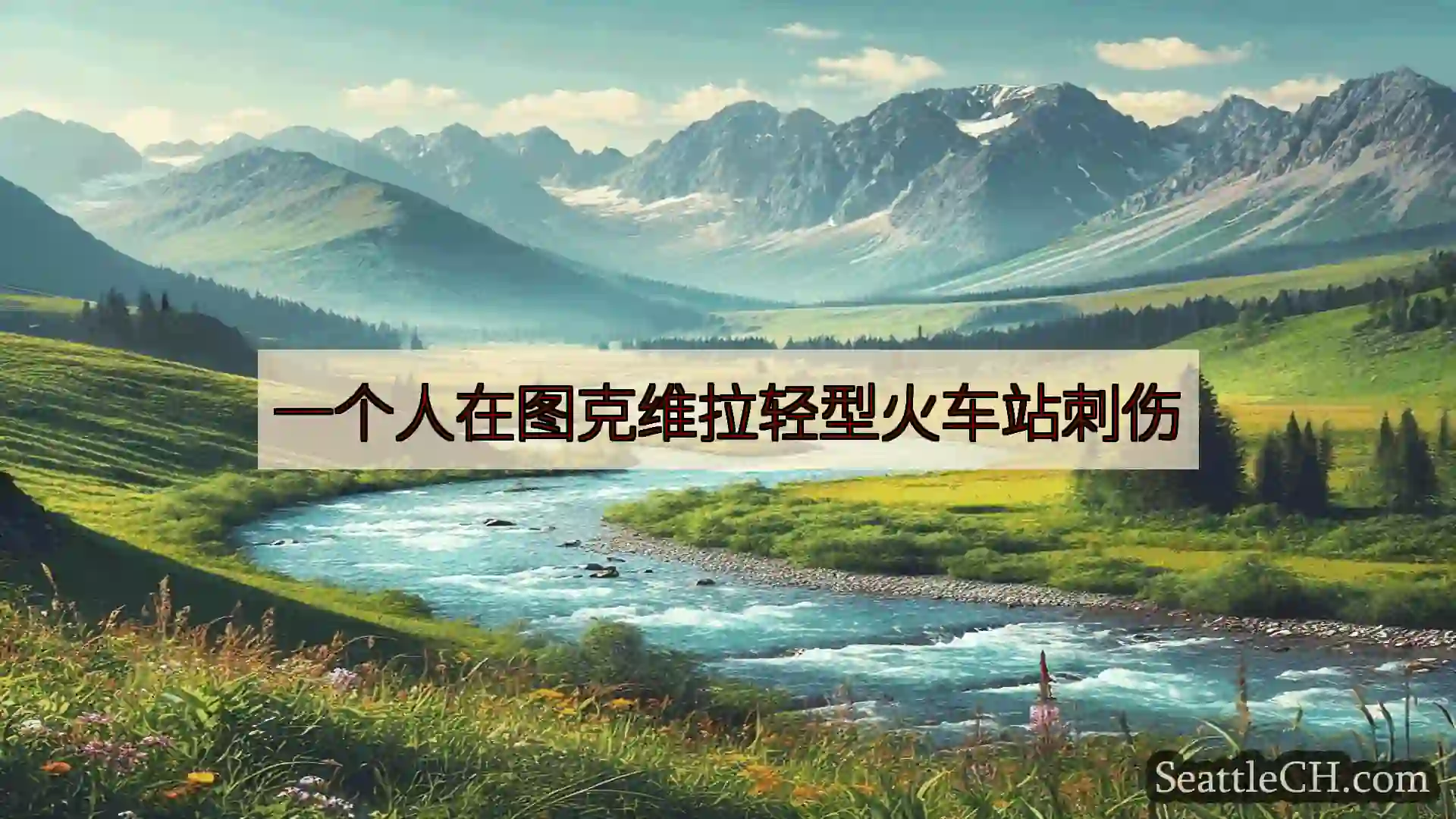 西雅图新闻 一个人在图克维拉轻型火车站刺伤