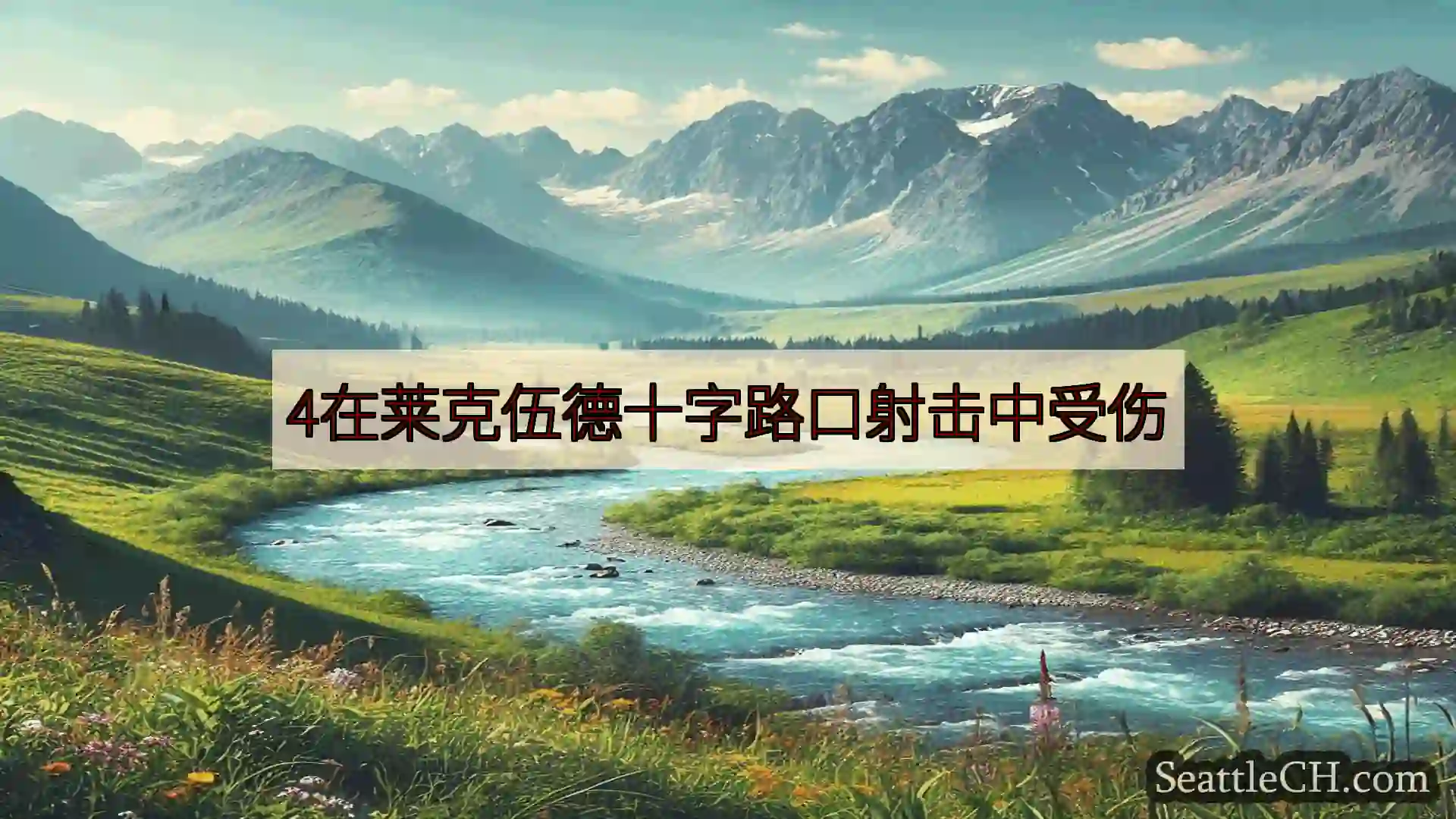西雅图新闻 4在莱克伍德十字路口射击中受伤