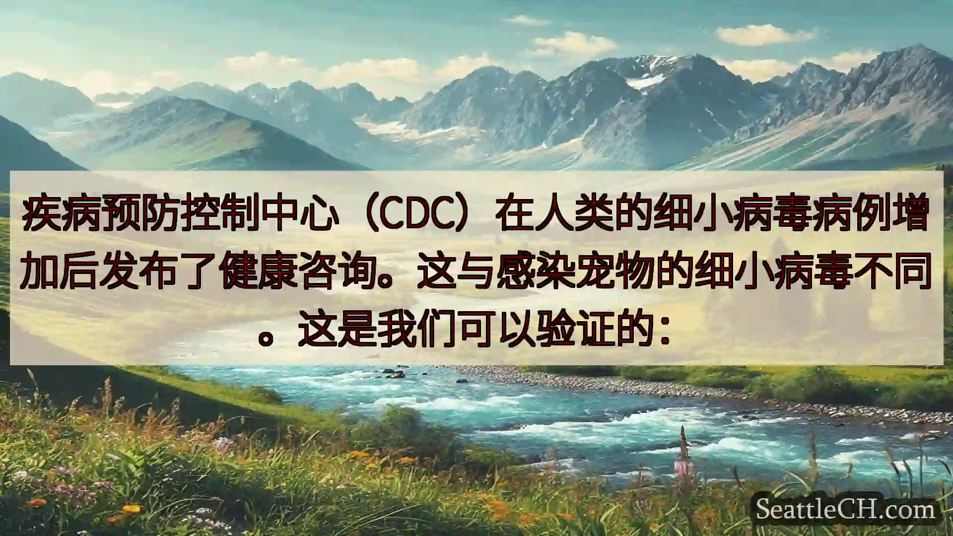 西雅图新闻 疾病预防控制中心（CDC）在人类的细小病毒病例增加后发布了健康咨询。这