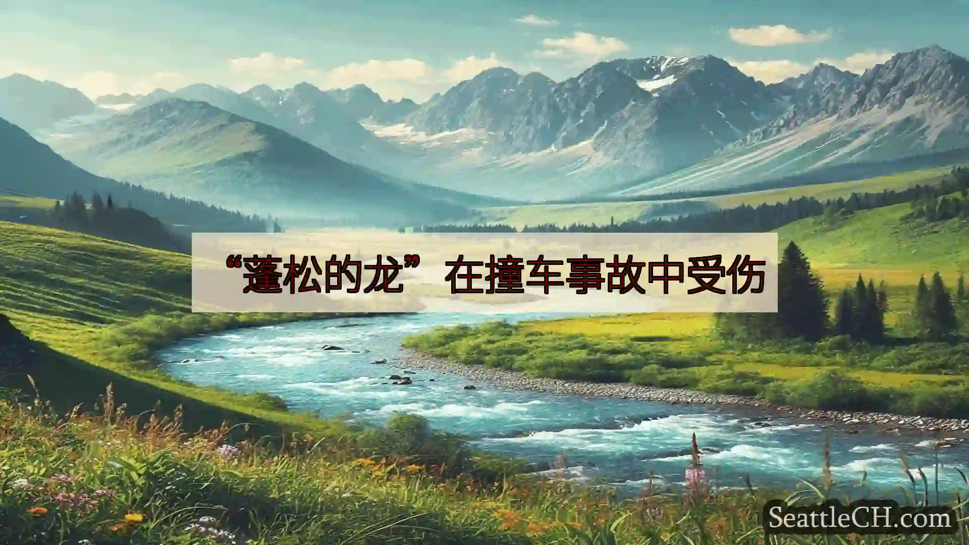 西雅图新闻 “蓬松的龙”在撞车事故中受伤