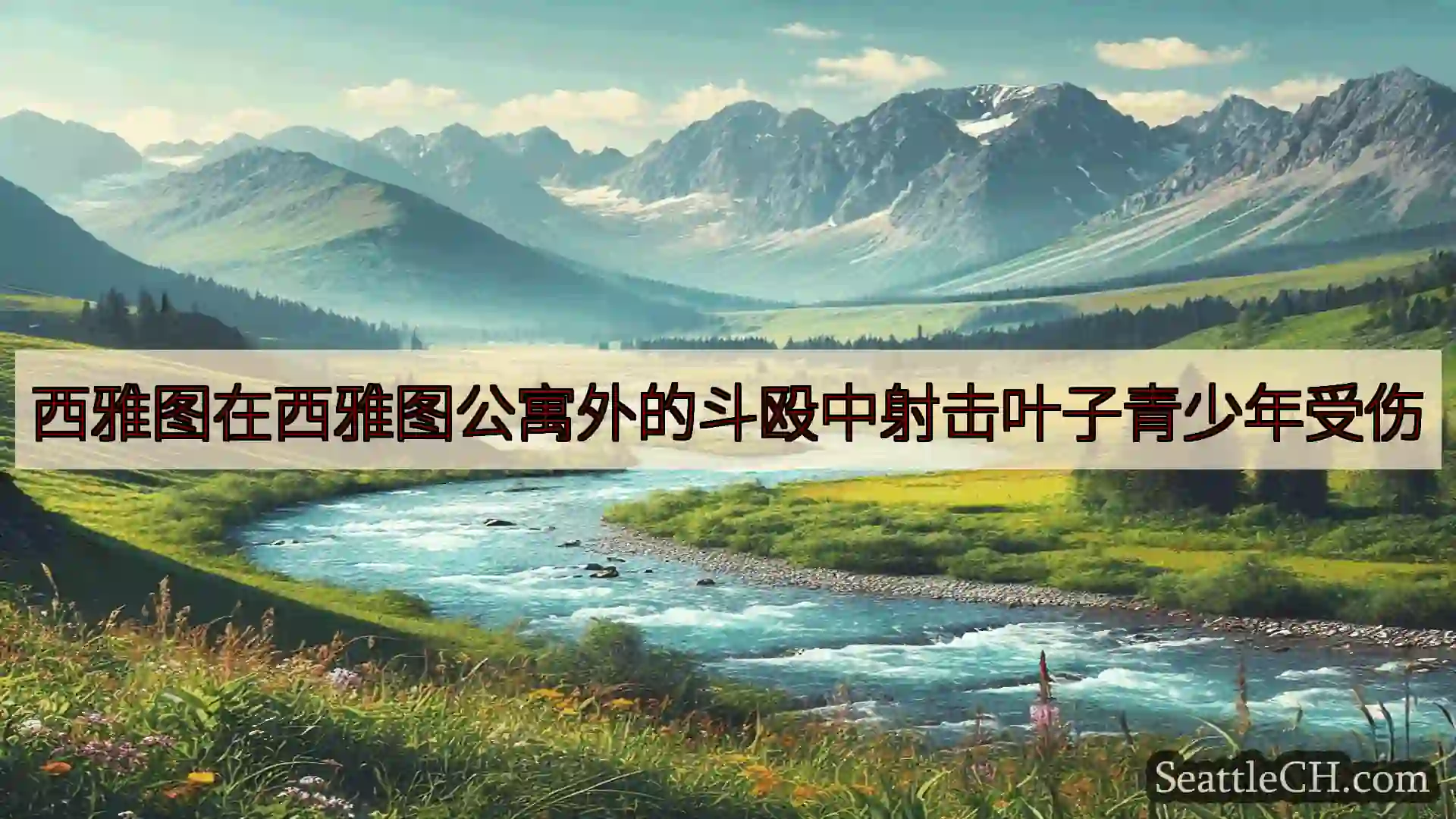 西雅图新闻 西雅图在西雅图公寓外的斗殴中射击叶子青少年受伤
