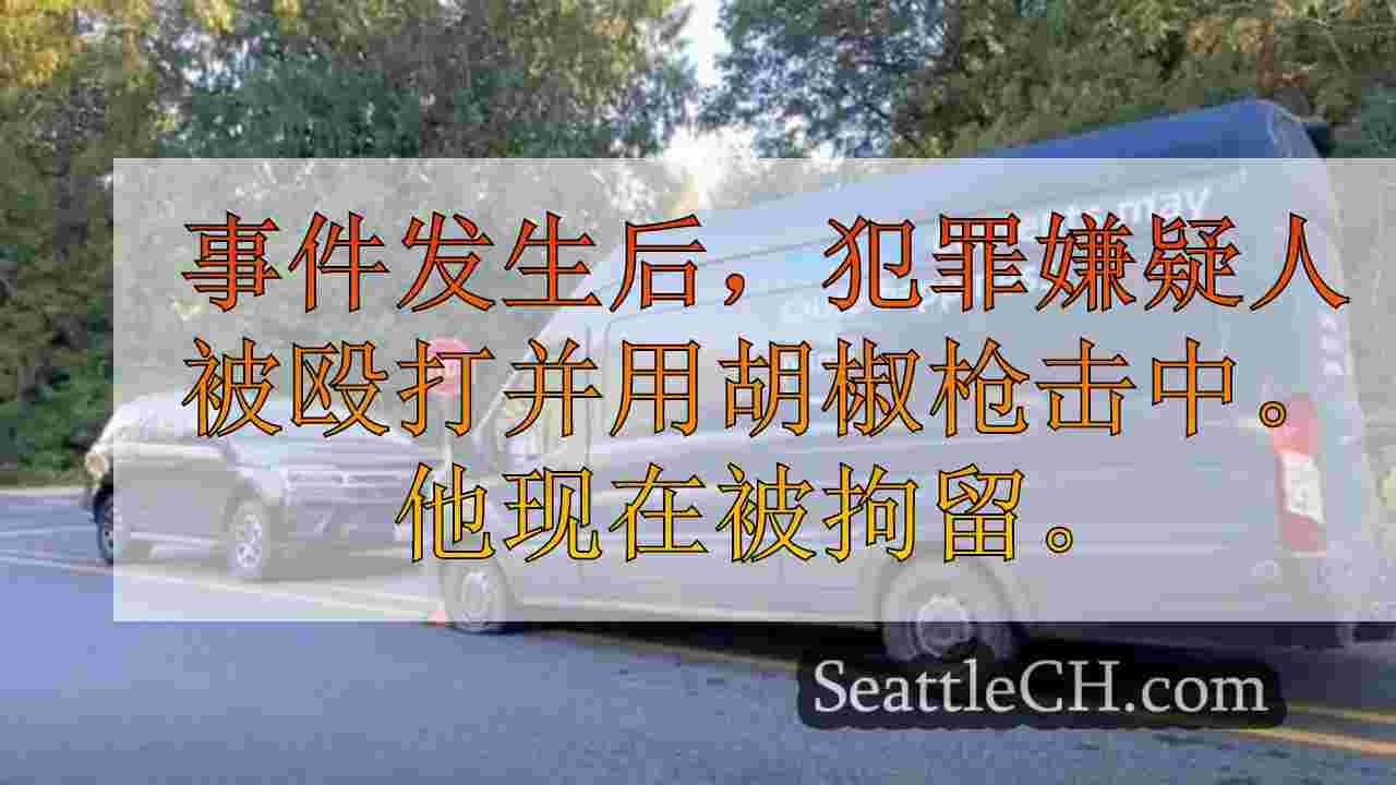 争吵后，亚马逊送货司机被拘留，吉萨普县的低速追逐