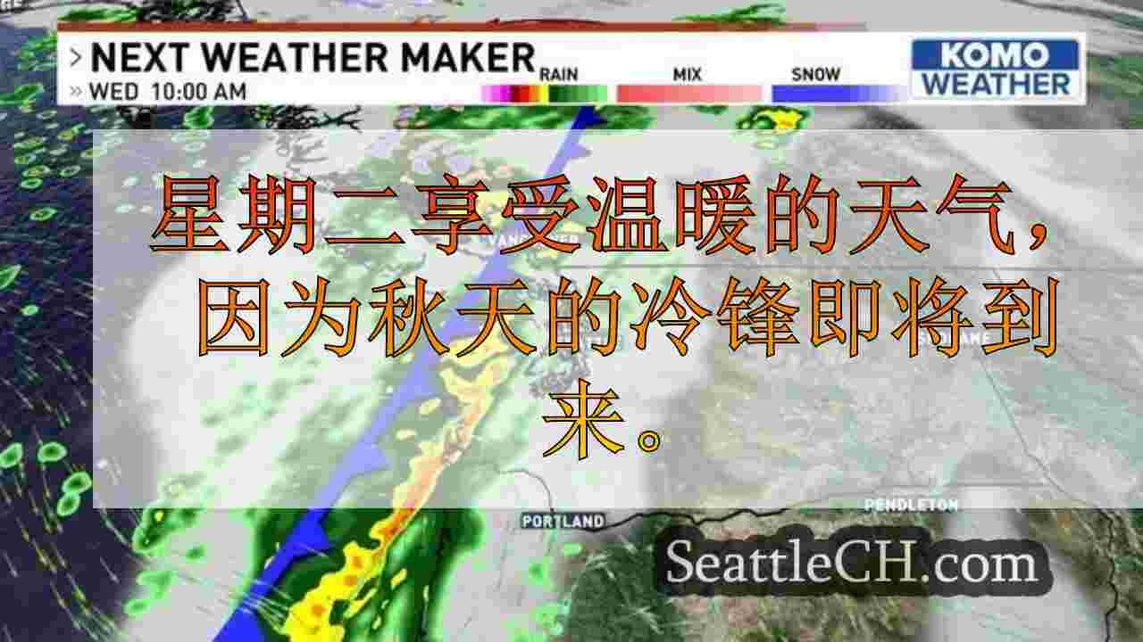 西雅图新闻 SeattleCH