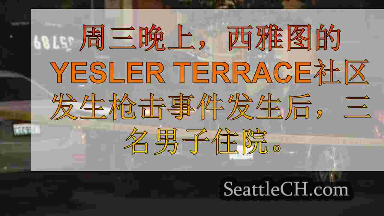 西雅图新闻 SeattleCH