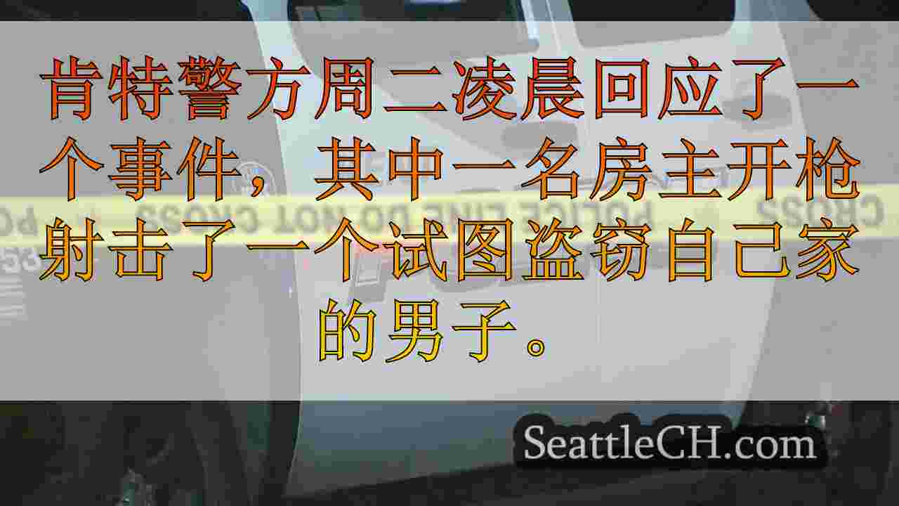 “我要保护我的家人”：肯特房主在闯入期间射击了窃贼