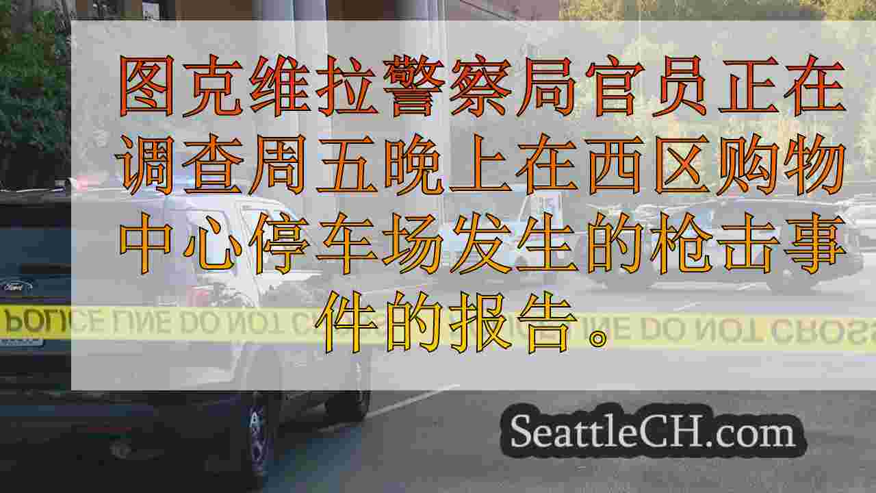 Southcenter购物中心停车场开了枪；没有受伤