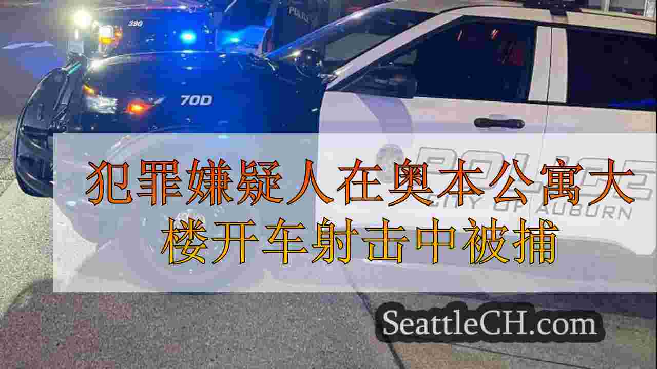 犯罪嫌疑人在奥本公寓大楼开车射击中被捕