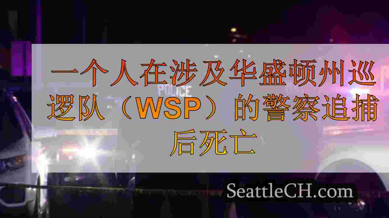 州巡逻追捕导致埃弗里特致命的翻车坠机事故