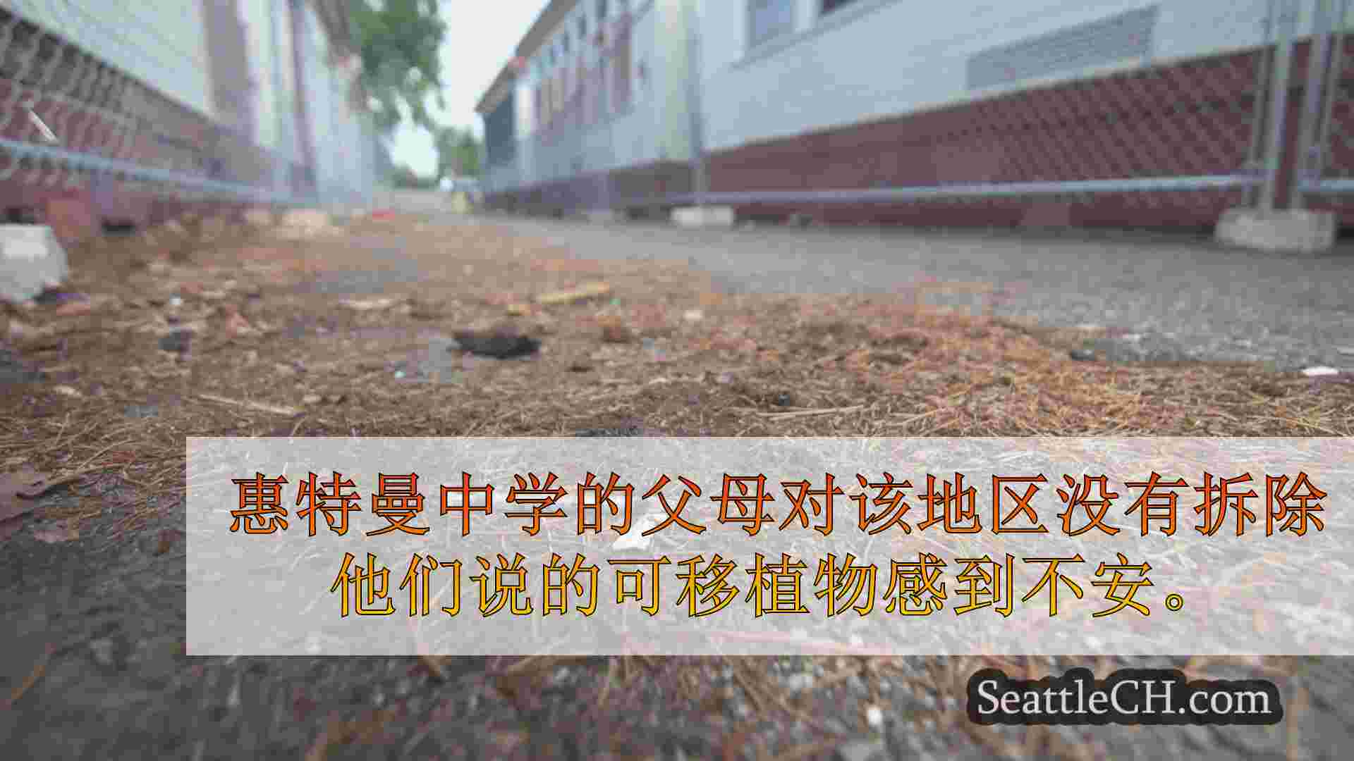 惠特曼中学的父母提出了安全问题