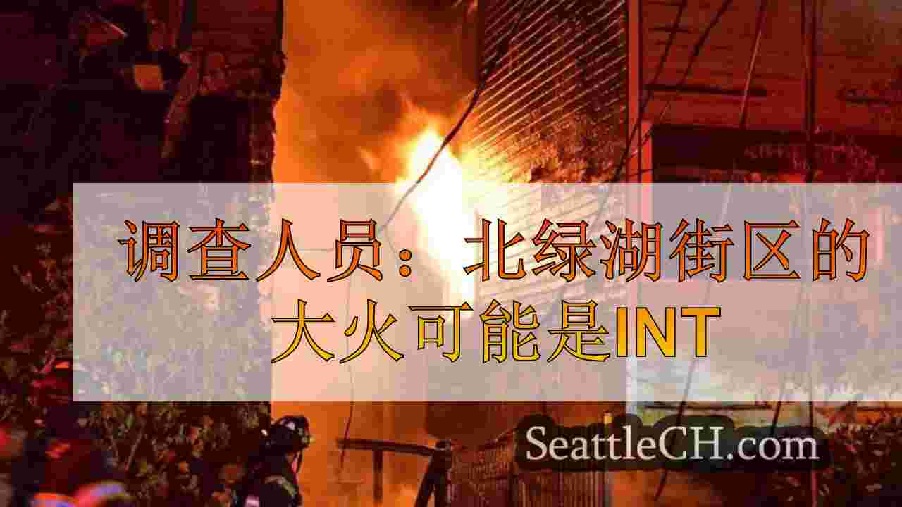 调查人员：北绿湖街区的大火可能是故意设置的