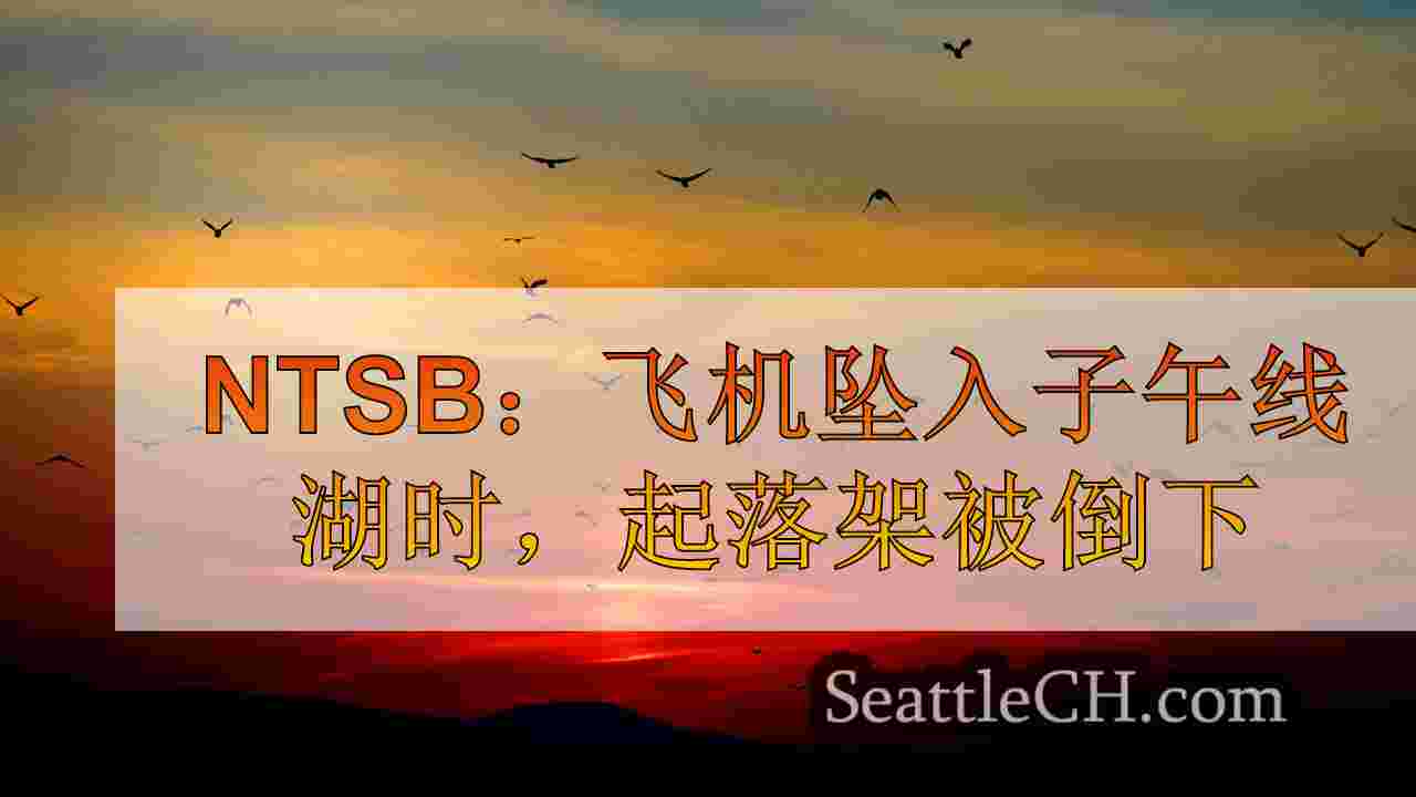 西雅图新闻 SeattleCH