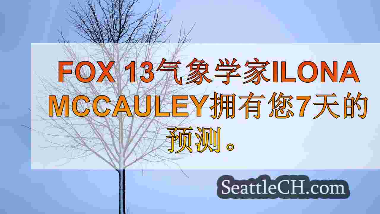西雅图新闻 SeattleCH