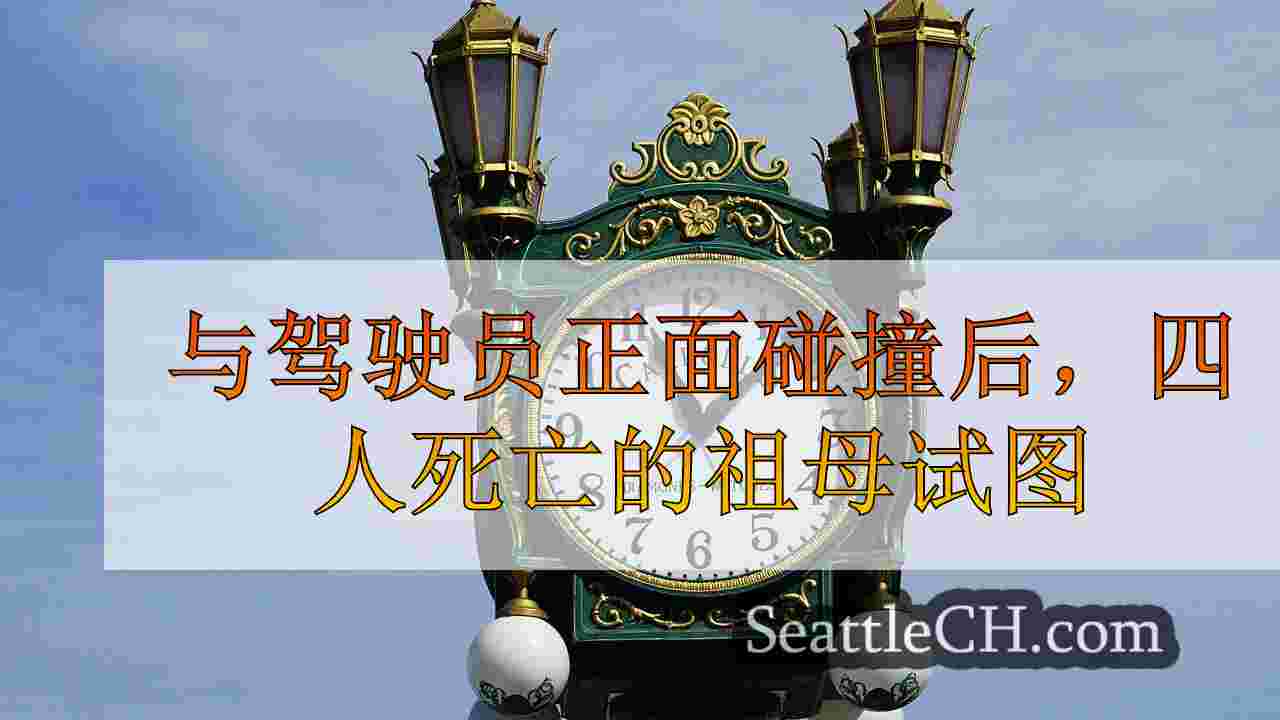 与驾驶员正面碰撞试图逃脱警察后，四人死了