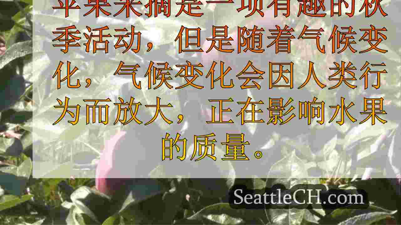 西雅图新闻 SeattleCH