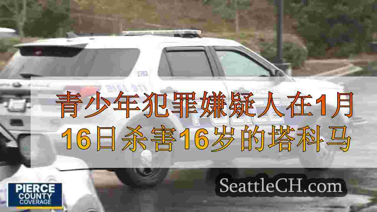 青少年犯罪嫌疑人在1月16日杀害16岁的塔科马