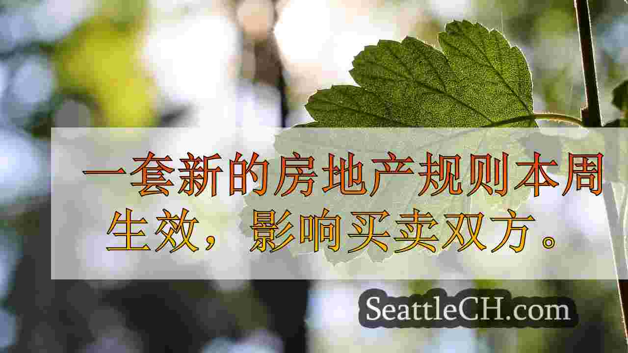 西雅图新闻 SeattleCH