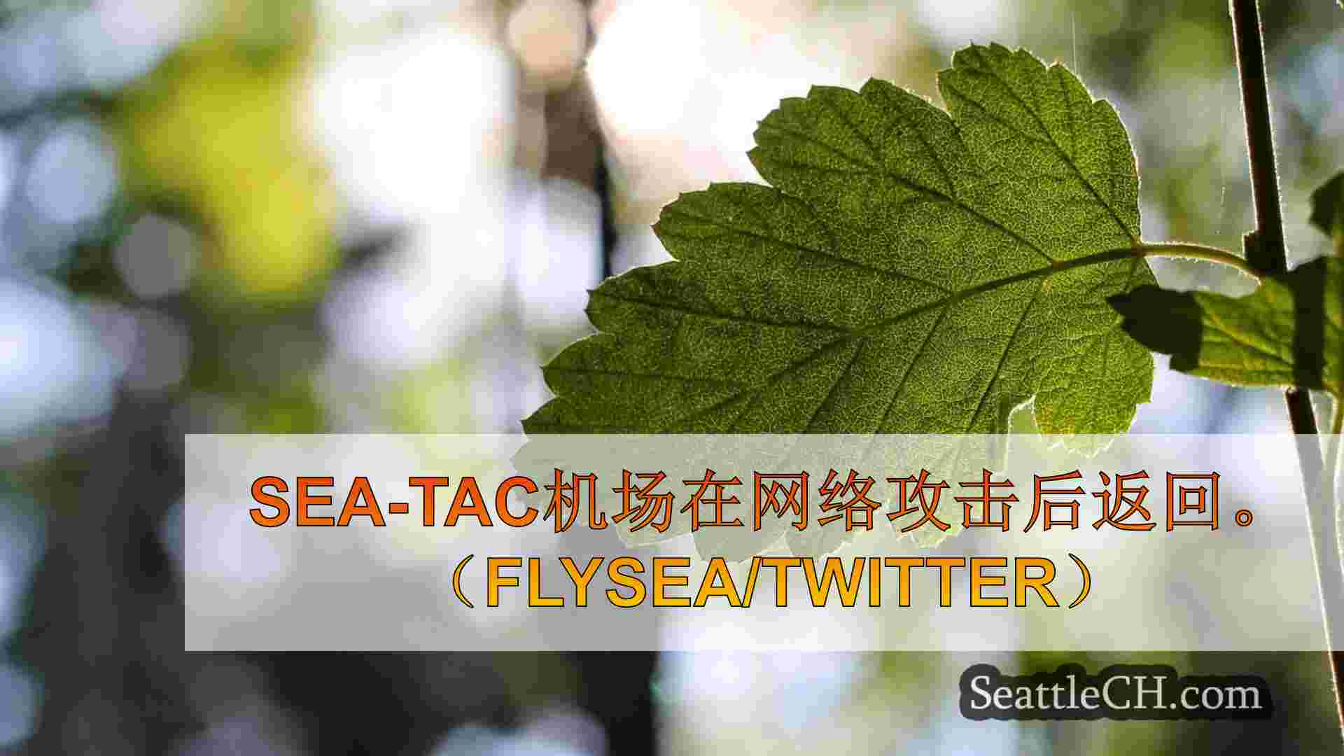 Sea-Tac机场行李，航班显示在网络攻击后返回