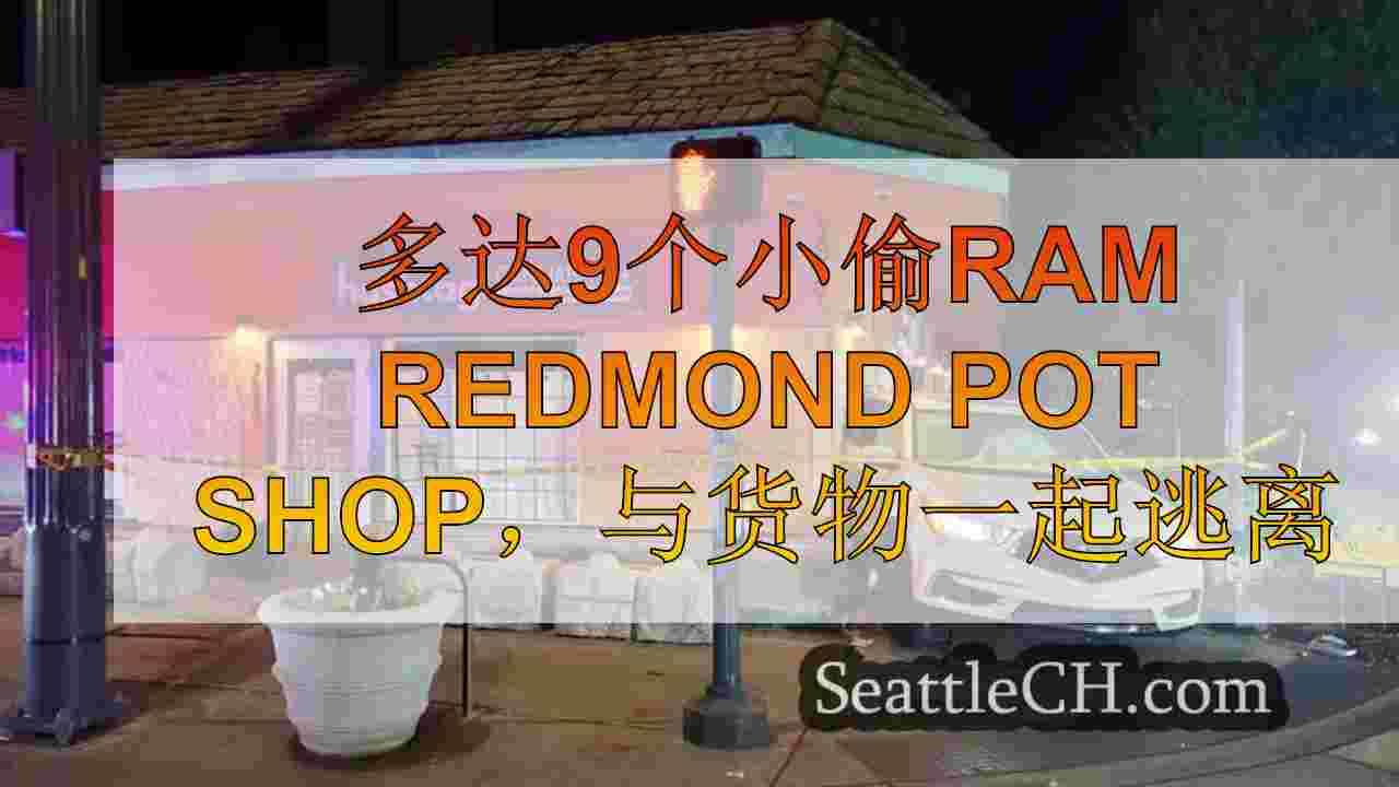 多达9个小偷ram Redmond Pot Shop，与货物一起逃离