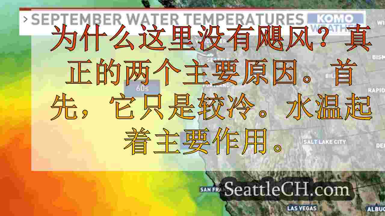 西雅图新闻 SeattleCH