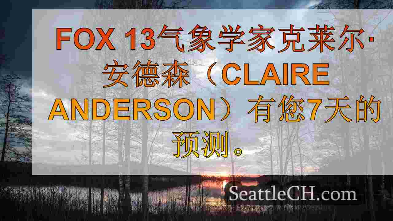 西雅图新闻 SeattleCH