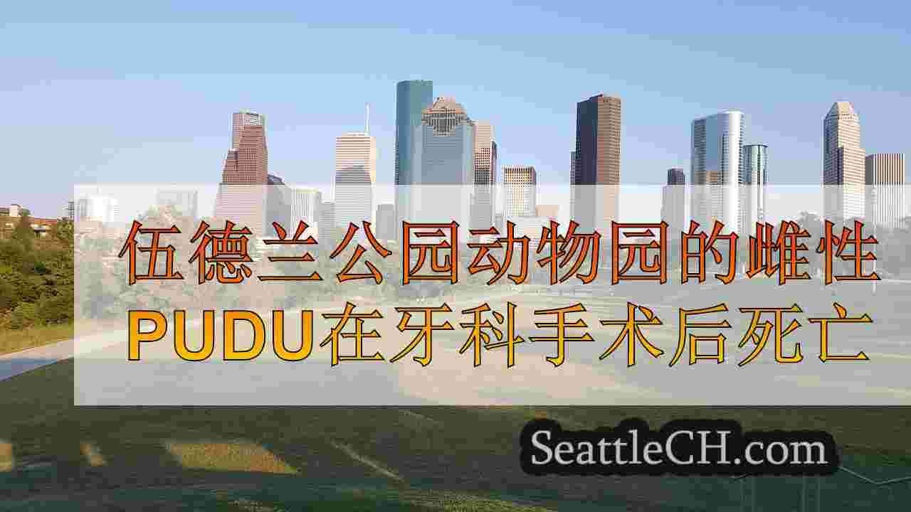西雅图新闻 SeattleCH