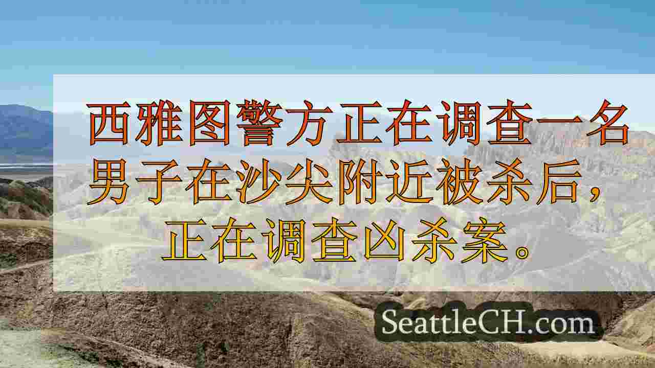 西雅图新闻 SeattleCH