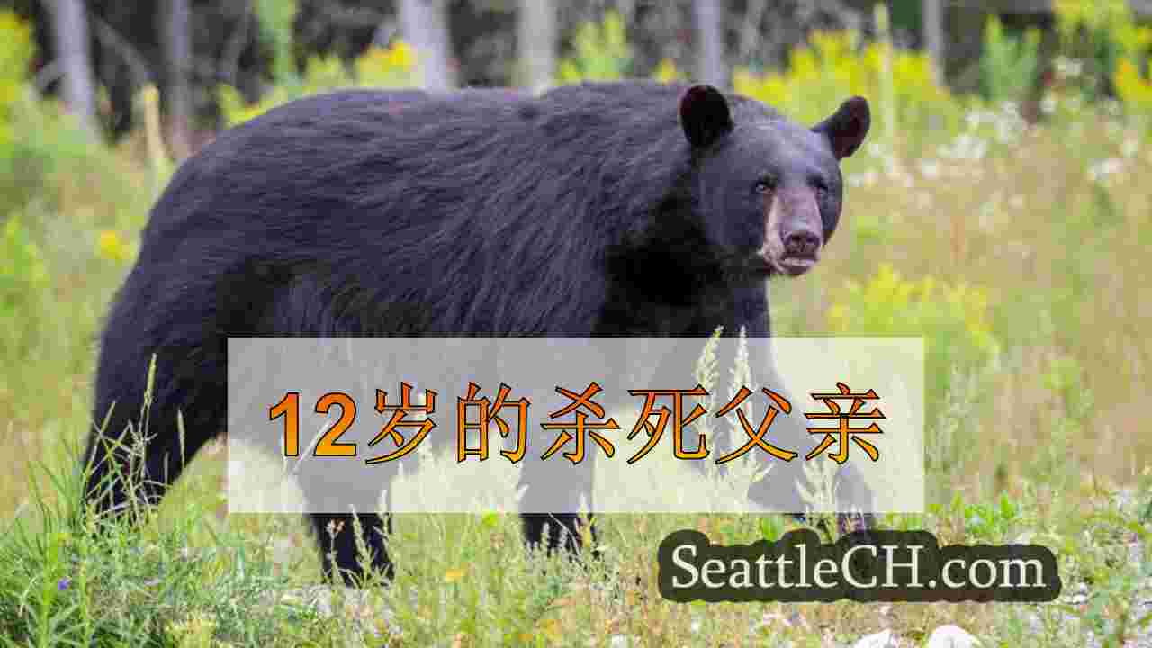 12岁的杀死父亲