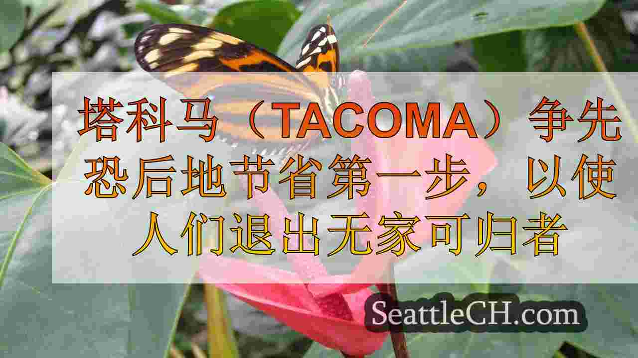 塔科马（Tacoma）