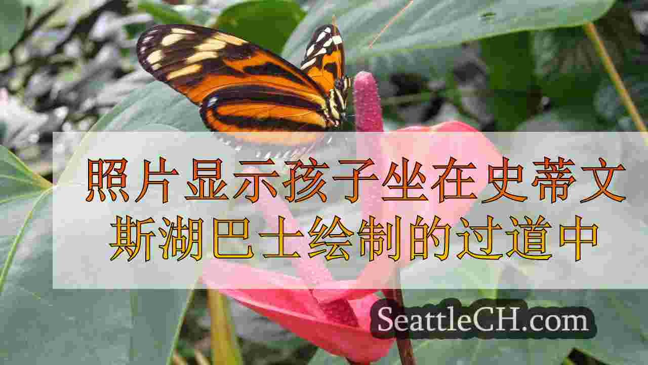 照片显示坐在史蒂文斯湖巴士的过道中的孩子们引起了担忧