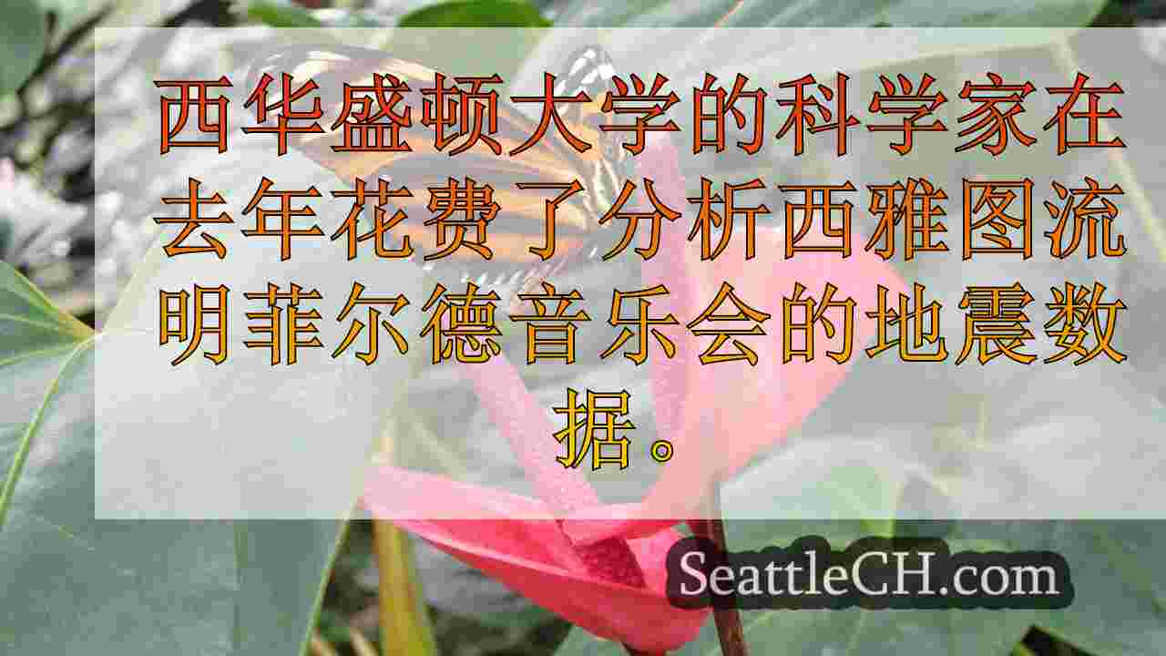 西雅图新闻 SeattleCH