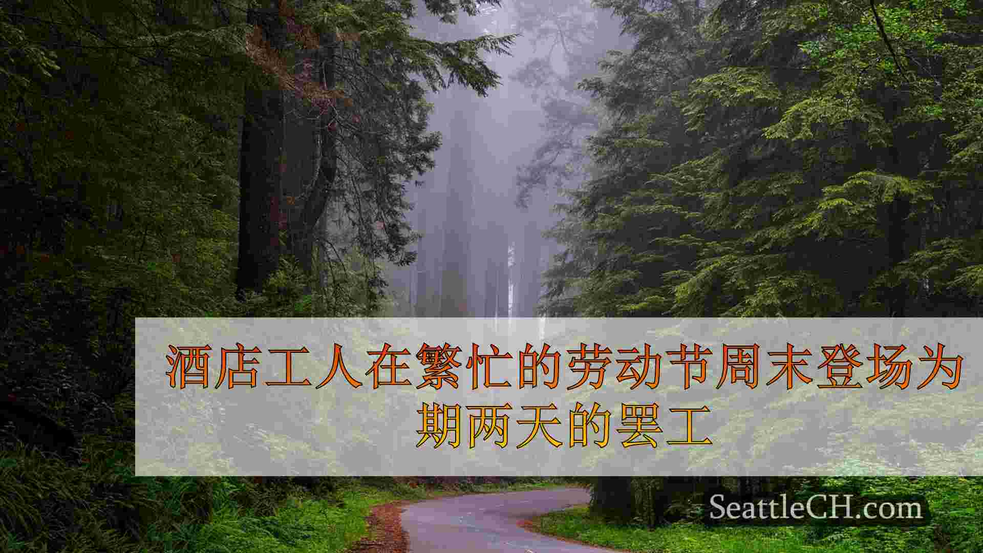 西雅图新闻 SeattleCH