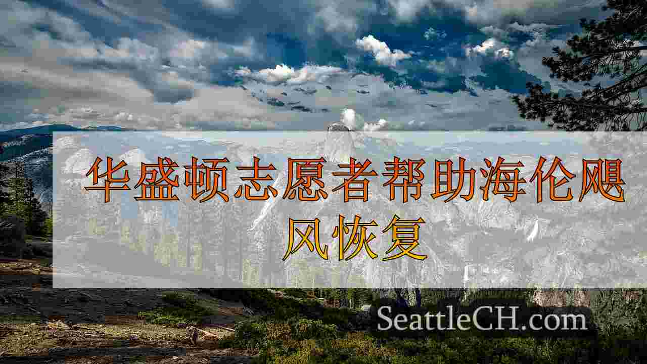 西雅图新闻 SeattleCH