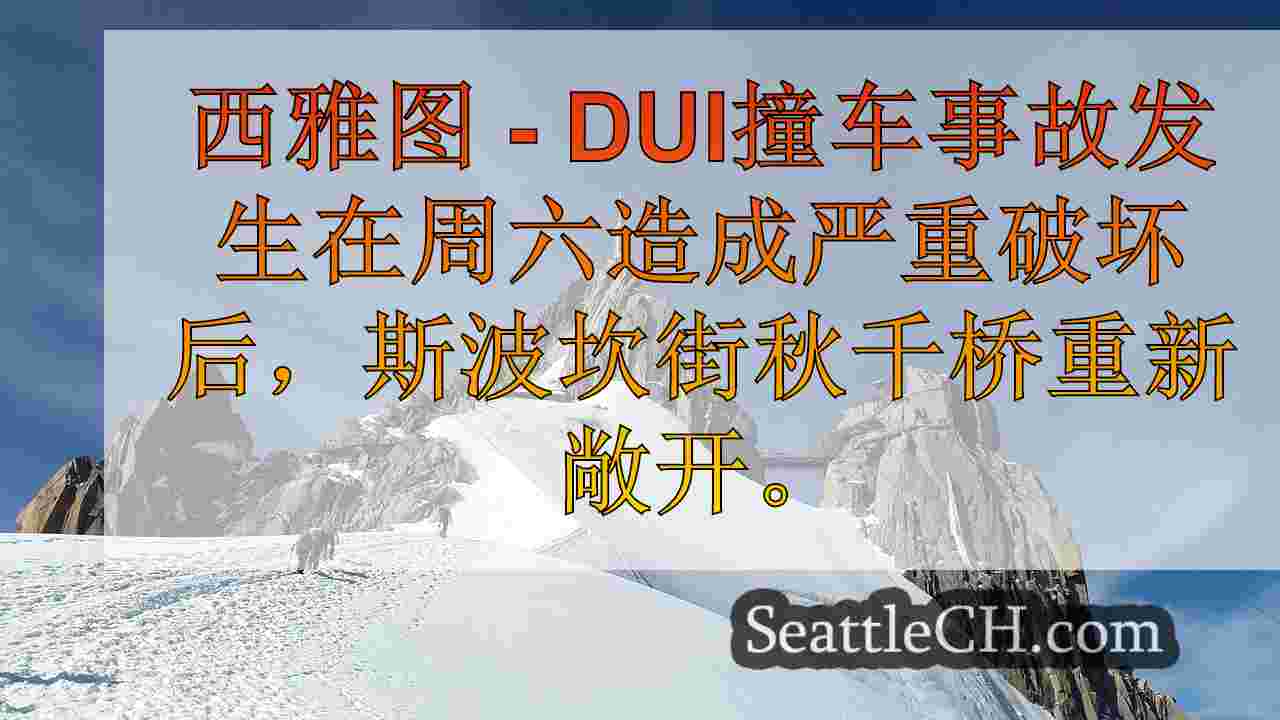 西雅图新闻 SeattleCH