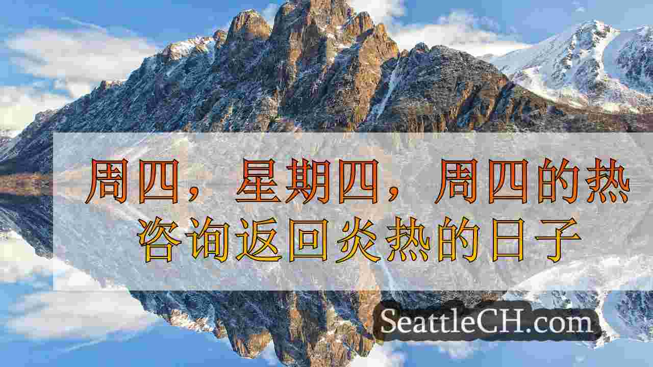 西雅图新闻 SeattleCH