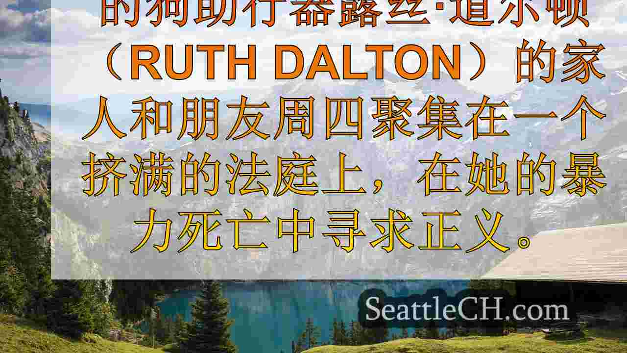 西雅图新闻 SeattleCH