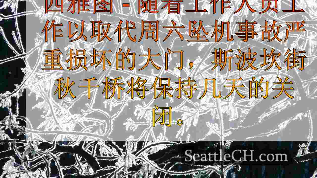 西雅图新闻 SeattleCH