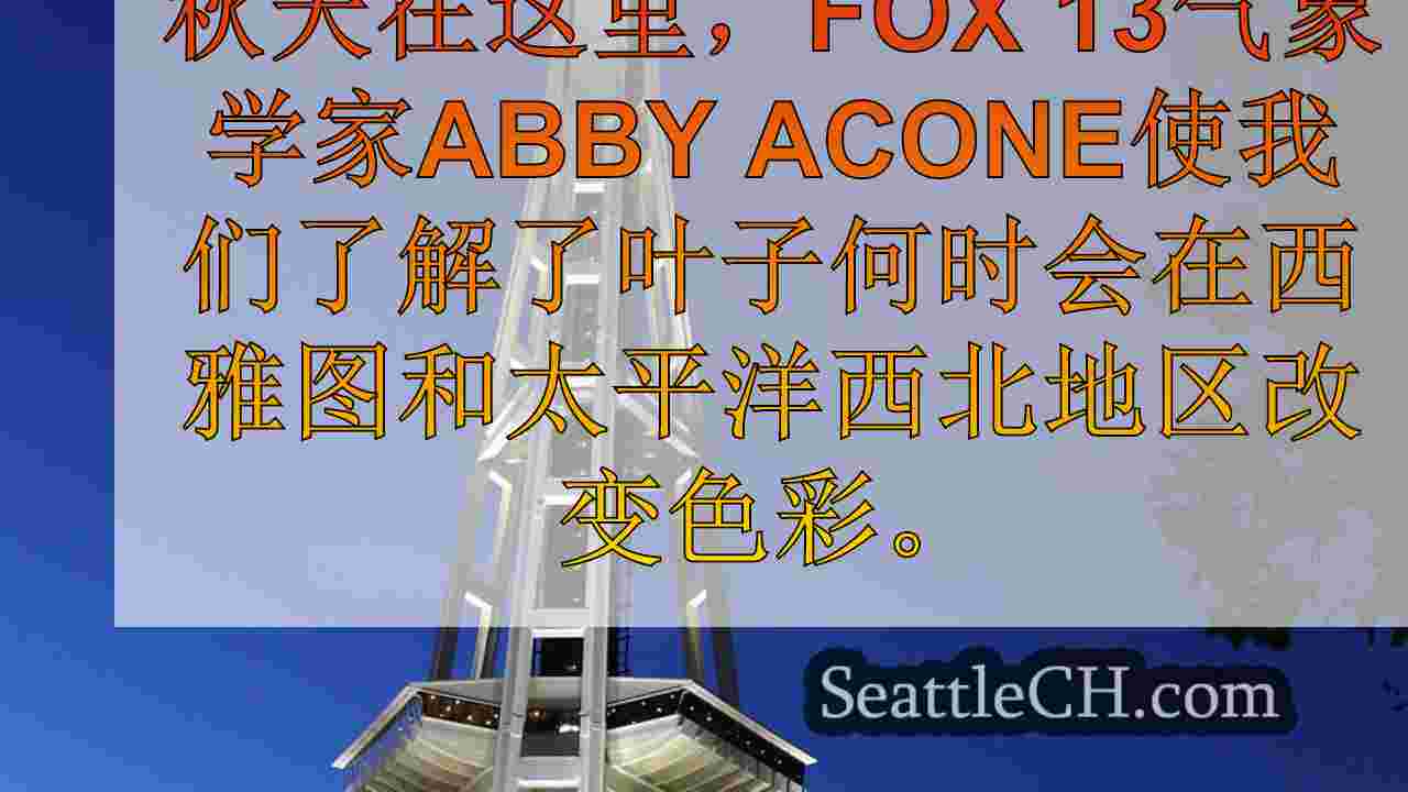 这是秋叶在西澳大利亚州的峰值颜色