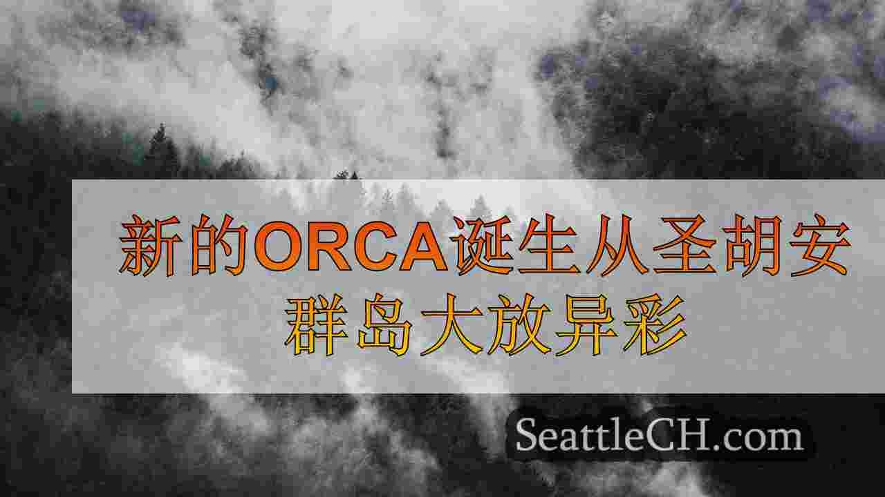 西雅图新闻 SeattleCH