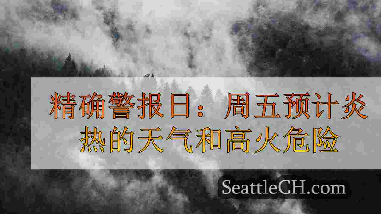 西雅图新闻 SeattleCH